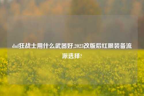 dnf狂战士用什么武器好,2023改版后红眼装备流派选择?