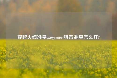 穿越火线准星,wegamecf狙击准星怎么开?