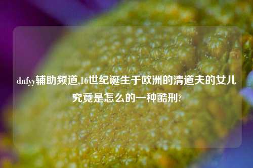 dnfyy辅助频道,16世纪诞生于欧洲的清道夫的女儿究竟是怎么的一种酷刑?