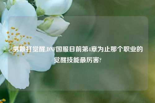男散打觉醒,DNF国服目前第4章为止那个职业的觉醒技能最厉害?