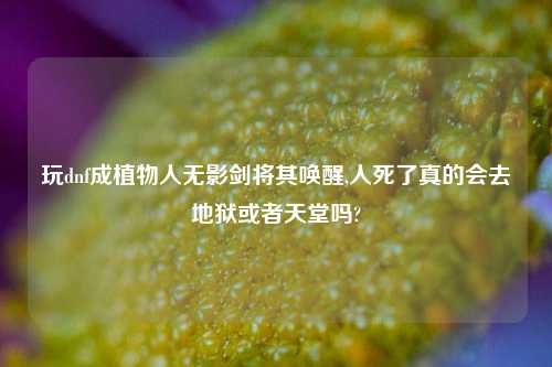 玩dnf成植物人无影剑将其唤醒,人死了真的会去地狱或者天堂吗?