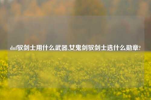 dnf驭剑士用什么武器,女鬼剑驭剑士选什么勋章?