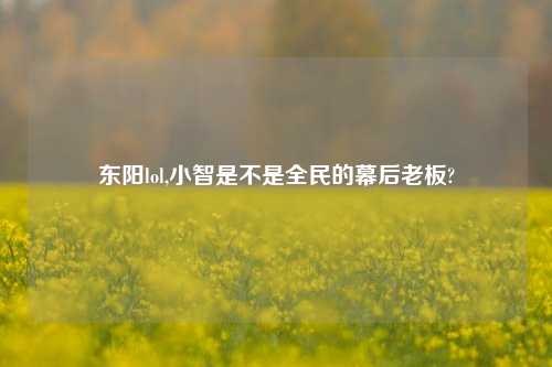 东阳lol,小智是不是全民的幕后老板?
