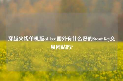 穿越火线单机版cd key,国外有什么好的SteamKey交易网站吗?