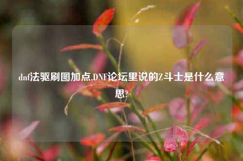 dnf法驱刷图加点,DNF论坛里说的Z斗士是什么意思?