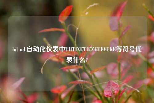 lol ud,自动化仪表中THTIXETIEZETEVEKE等符号代表什么?