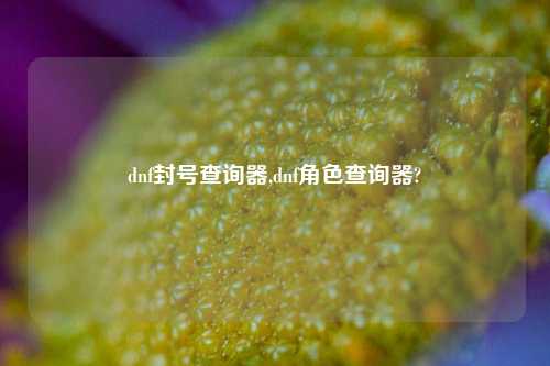 dnf封号查询器,dnf角色查询器?