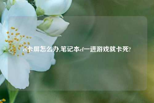 cf卡屏怎么办,笔记本cf一进游戏就卡死?