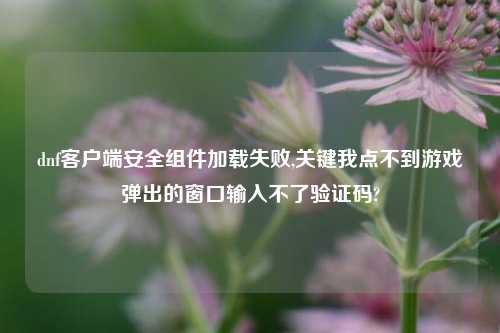 dnf客户端安全组件加载失败,关键我点不到游戏弹出的窗口输入不了验证码?
