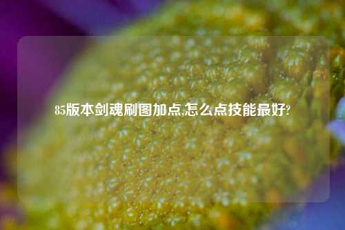 85版本剑魂刷图加点,怎么点技能最好?