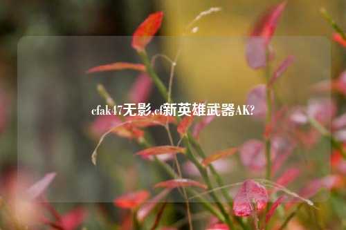 cfak47无影,cf新英雄武器AK?