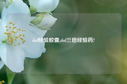 dnf经验胶囊,dnf三倍经验药?