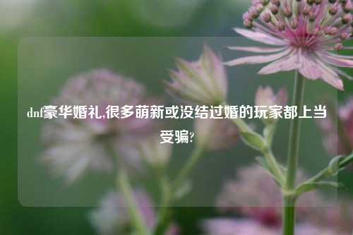 dnf豪华婚礼,很多萌新或没结过婚的玩家都上当受骗?