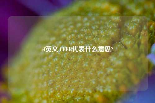 cf英文,CFER代表什么意思?