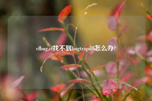 cfbug,cf找不到bugtrapdll怎么办?
