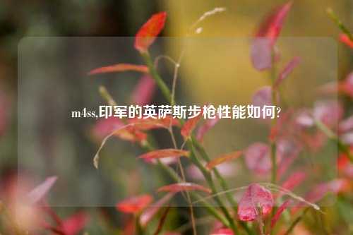 m4ss,印军的英萨斯步枪性能如何?
