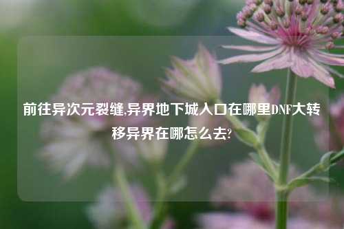 前往异次元裂缝,异界地下城入口在哪里DNF大转移异界在哪怎么去?