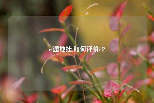 cf遁地挂,如何评价cf?