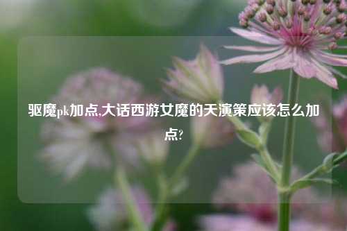 驱魔pk加点,大话西游女魔的天演策应该怎么加点?