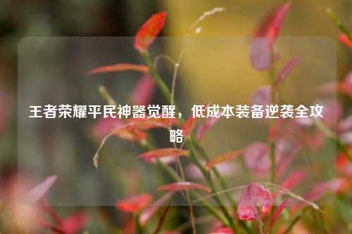 王者荣耀平民神器觉醒，低成本装备逆袭全攻略