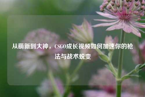 从萌新到大神，CSGO成长视频如何加速你的枪法与战术蜕变