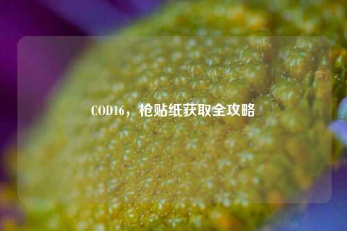 COD16，枪贴纸获取全攻略