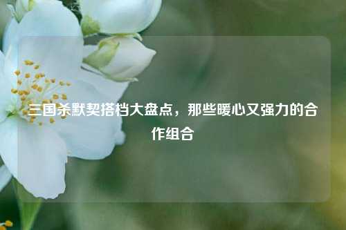三国杀默契搭档大盘点，那些暖心又强力的合作组合