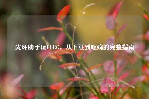 光环助手玩PUBG，从下载到吃鸡的完整指南