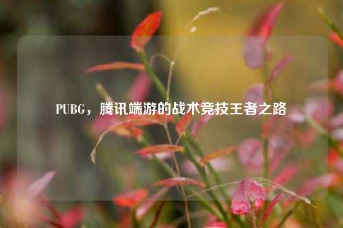 PUBG，腾讯端游的战术竞技王者之路