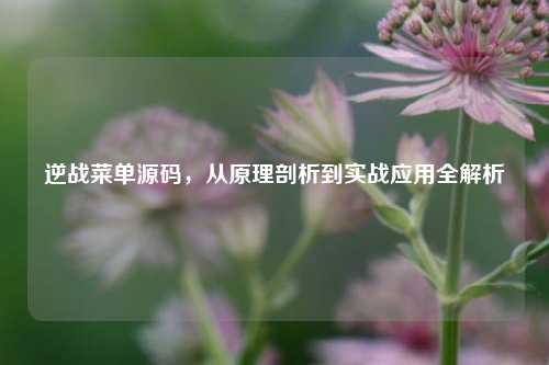 逆战菜单源码，从原理剖析到实战应用全解析