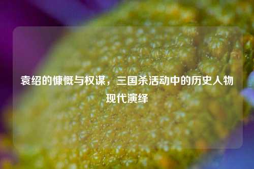 袁绍的慷慨与权谋，三国杀活动中的历史人物现代演绎