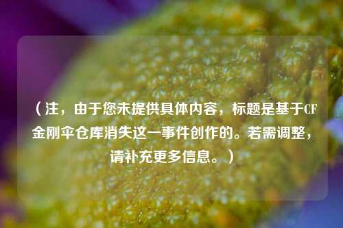 （注，由于您未提供具体内容，标题是基于CF金刚伞仓库消失这一事件创作的。若需调整，请补充更多信息。）