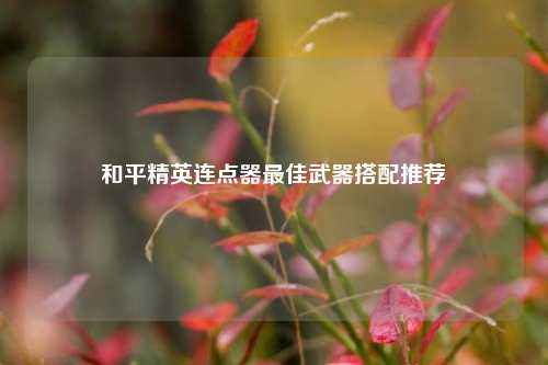 和平精英连点器最佳武器搭配推荐