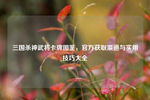 三国杀神武将卡牌图鉴，官方获取渠道与实用技巧大全