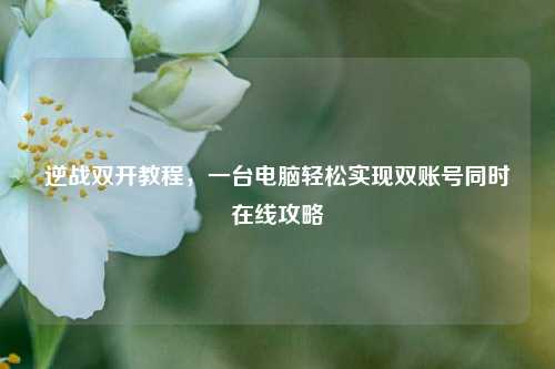 逆战双开教程，一台电脑轻松实现双账号同时在线攻略