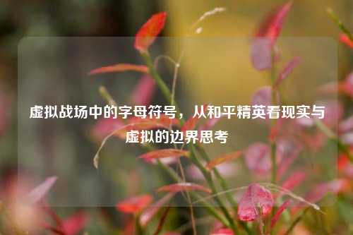 虚拟战场中的字母符号，从和平精英看现实与虚拟的边界思考