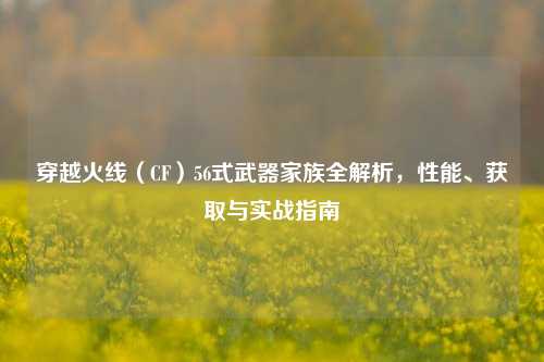穿越火线（CF）56式武器家族全解析，性能、获取与实战指南