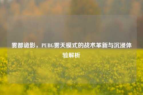雾都诡影，PUBG雾天模式的战术革新与沉浸体验解析