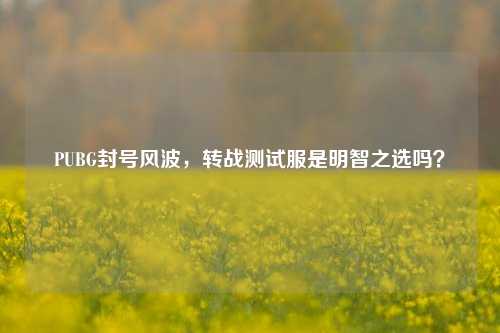 PUBG封号风波,转战测试服是明智之选吗?