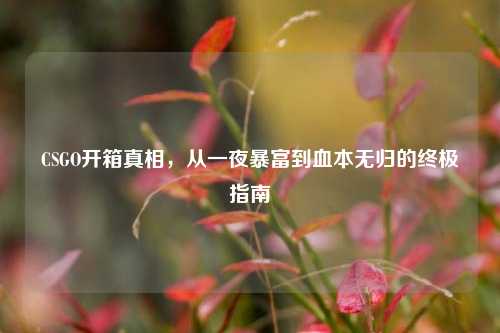 CSGO开箱真相,从一夜暴富到血本无归的终极指南