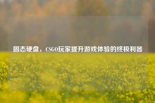 固态硬盘,CSGO玩家提升游戏体验的终极利器