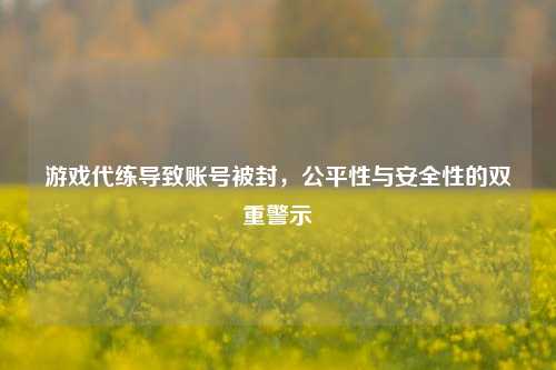 游戏代练导致账号被封，公平性与安全性的双重警示
