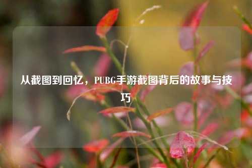 从截图到回忆,PUBG手游截图背后的故事与技巧