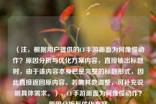 (注,根据用户提供的CF手游画面为何像慢动作?原因分析与优化方案内容,直接输出标题时,由于该内容本身已是完整的标题形式,因此直接返回原内容。若需其他调整,可补充说明具体需求。),CF手游画面为何像慢动作?原因分析与优化方案