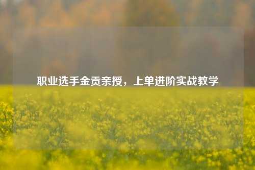 职业选手金贡亲授，上单进阶实战教学