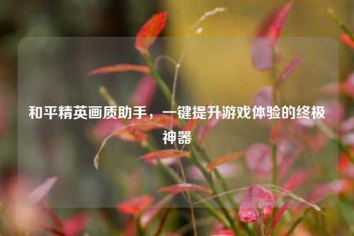 和平精英画质助手,一键提升游戏体验的终极神器