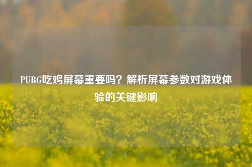 PUBG吃鸡屏幕重要吗？解析屏幕参数对游戏体验的关键影响