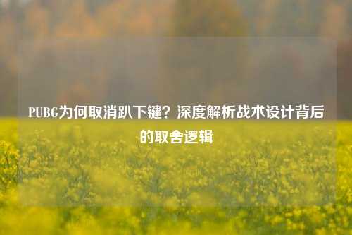 PUBG为何取消趴下键?深度解析战术设计背后的取舍逻辑