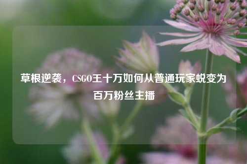 草根逆袭，CSGO王十万如何从普通玩家蜕变为百万粉丝主播