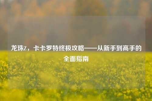 龙珠Z，卡卡罗特终极攻略——从新手到高手的全面指南